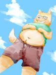  2015 anthro belly blush canid canine canis clothed clothing domestic_dog eyewear fatkylefat glasses green_eyes hi_res male mammal navel open_shirt outside shirt shorts slightly_chubby solo teeth topwear 