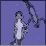  anna_(study_partners) anthro areola beluga breasts cetacean cetacean_pussy delphinoid female group mammal marine medium_breasts monodontid non-mammal_breasts study_partners thunderouserections toothed_whale underwater water young 