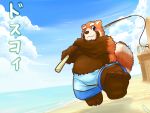  2015 4:3 ailurid anthro beach belly blush clothing fishing hi_res humanoid_hands japanese_text lates lates312 lates_(artist) male mammal one_eye_closed outside overweight overweight_male red_panda seaside shorts solo text water wink 