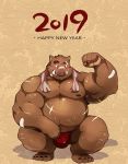  2019 anthro belly blush brown_fur bulge chinese_new_year chinese_zodiac clothing english_text fur humanoid_hands kusunagi male mammal moobs navel nipples overweight overweight_male scar solo suid suina sus_(pig) text underwear wild_boar year_of_the_pig 