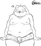  2019 anthro belly black_nose blush bulge canid canine canis clothing domestic_dog fur humanoid_hands looking_at_viewer male mammal moobs nipples overweight overweight_male shikapandakuma sketch soft underwear wide_hips 