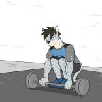  1:1 anthro clothed clothing exercise felid fully_clothed fuze hi_res male mammal pantherine snow_leopard solo viktor_(fuze) weightlifting weights workout 