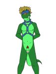  alligator alligatorid anthro balls blindfold blush circumcised collar crocodilian dignity_or_debt fuze hands_behind_back harness hi_res humanoid_penis male navel nipples nude penis pubes reptile scalie simple_background solo white_background 