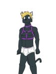  anthro briefs bulge clothed clothing collar dignity_or_debt domestic_cat felid feline felis fuze harness hi_res male mammal navel nipples simple_background solo topless underwear white_background 