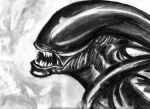  2007 alien alien_(franchise) madzee monochrome solo traditional_media_(artwork) xenomorph 