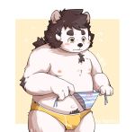  2017 anthro belly blush bulge canid canine canis clothing domestic_dog dwzaafi humanoid_hands male mammal moobs navel nipples overweight overweight_male solo underwear young 