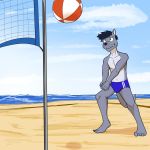  1:1 anthro ball beach bulge clothed clothing fuze hi_res lutrine male mammal mustelid navel seaside solo speedo sport swimwear topless volleyball volleyball_(ball) volleyball_net 