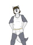  anthro briefs bulge canid canine canis clothing dignity_or_debt fuze hi_res male mammal shirt simple_background solo tank_top topwear underwear white_background wolf 
