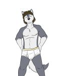 anthro briefs bulge canid canine canis clothed clothing dignity_or_debt fuze hi_res male mammal navel nipples simple_background solo topless underwear white_background wolf 