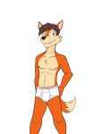  anthro briefs bulge canid canine clothed clothing dignity_or_debt fox fuze hi_res male mammal navel nipples simple_background solo topless underwear white_background 