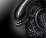  2007 alien alien_(franchise) madzee monochrome solo xenomorph 