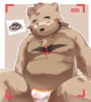  2017 anthro belly black_nose blush bulge clothing dwzaafi hi_res male mammal moobs nipples one_eye_closed overweight overweight_male solo underwear ursid wink young 