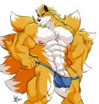  absurd_res anthro bulge canid canine clothing cum cum_through_clothing daikitei facial_hair fox goatee hi_res humanoid_penis looking_at_viewer male mammal muscular muscular_male pecs penis penis_base solo underwear vein wet wet_clothing 