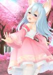  1girl absurdres ahoge animal_ears bare_shoulders blue_eyes blue_hair cherry_blossoms detached_sleeves dog_ears dress elin_(tera) forest from_behind highres huge_filesize long_hair looking_back nature no_tail open_mouth outdoors outstretched_arms pink_dress smile solo sonia_(fetusdream) tera_online thighhighs tree white_legwear 
