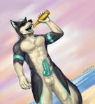  2019 5_fingers abs alcohol anatomically_correct anatomically_correct_penis animal_genitalia animal_penis anthro balls beach beer beverage biceps biped black_claws black_fur black_nose black_tail bottle canid canine canine_penis canis claws detailed_background digital_media_(artwork) domestic_dog drinking dutch_angle erection eyewear front_view fur green_penis green_tongue hair hi_res holding_bottle holding_object husky juice_(character) juiceps knot male mammal multicolored_fur multicolored_tail muscular muscular_male navel nordic_sled_dog nude open_mouth outside pecs penis sea seaside short_hair signature solo spitz standing sunglasses teeth tongue two_tone_fur two_tone_tail water white_balls white_fur white_hair white_tail 