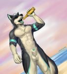  2019 5_fingers abs alcohol animal_genitalia anthro balls beach beer beverage biceps biped black_claws black_fur black_nose black_tail bottle canid canine canis claws detailed_background digital_media_(artwork) domestic_dog drinking dutch_angle eyewear front_view fur green_penis green_tongue hair hi_res holding_bottle holding_object husky juice_(character) juiceps male mammal multicolored_fur multicolored_tail muscular muscular_male navel nordic_sled_dog nude open_mouth outside pecs penis penis_tip sea seaside sheath short_hair signature solo spitz standing sunglasses teeth tongue two_tone_fur two_tone_tail water white_balls white_fur white_hair white_sheath white_tail 