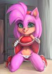  amy_rose anthro camel_toe clothing curvaceous eulipotyphlan female footwear hedgehog kneeling looking_at_viewer mammal shoes smile solo sonic_(series) thefuckingdevil thigh_gap wide_hips 