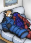  2018 ailurid anthro bdsm bedroom bodysuit bondage_gloves clothed clothing fully_clothed happy inside male mammal paddy_(artist) painting_(object) picture_frame red_panda skinsuit sleeping sleeping_bag smile solo tight_clothing 