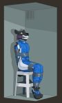  anthro bdsm black_fur bondage bound duct_tape english_text felid fur gag grey_eyes hi_res locker male mammal pantherine racing_suit solo stool stuff_gag tape tape_bondage text whistleristler 