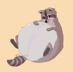  anus belly big_(disambiguation) blush butt coon digital_media_(artwork) feet full-length_portrait hi_res inflation invalid_tag mammal overweight paws portrait procyonid raccoon starskitty 