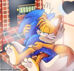  anal canid canine duo eulipotyphlan fox hedgehog male male/male mammal miles_prower penis senshion sex shower sonic_(series) sonic_the_hedgehog water 