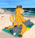  2019 anal anthro anus beach blush butt canid canine canis digital_media_(artwork) dingo domestic_dog duo erection facesitting fur hair handjob humanoid_penis jaxthewoofy male male/male mammal nude oral outside pawpads paws penile penis public rimming seaside sex sky smile sweat tongue tongue_out waxxy wolf 