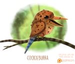  ambiguous_gender avian bird branch cookie coraciiform cryptid-creations feral food food_creature humor kingfisher kookaburra pun solo visual_pun 