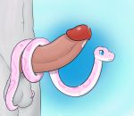  ambiguous_gender anthro feral fur grey_fur hi_res male penis reptile scalie simple_background snake tongue vanilla_(vanillaberry) vanillaberry 