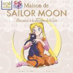  luna_(sailor_moon) sailor_moon tagme tsukino_usagi 