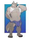  anthro big_bulge briefs bulge canid canine canis clothed clothing clothing_lift hi_res looking_at_viewer male mammal mosin muscular muscular_male pecs shirt shirt_lift solo standing tongue tongue_out topwear underwear wolf 