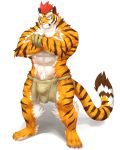  2019 abs absurd_res anthro biceps captainjohkid clothing digital_media_(artwork) felid feline fur hi_res male mammal muscular muscular_male pantherine pecs stripes tiger 