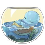  1:1 2019 alpha_channel ambiguous_gender aquarium blue_body bokchois eyes_closed fish_bowl holding_tail nintendo partially_submerged pok&eacute;mon pok&eacute;mon_(species) shell sleeping solo squirtle video_games vivarium water 