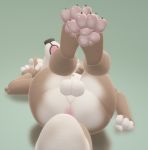  2019 3d_(artwork) anthro anus backsash balls blue_eyes butt canid canine claws digital_media_(artwork) erection fur hair hindpaw humanoid_penis lying male mammal nude on_back open_mouth pawpads paws penis simple_background solo toe_claws 