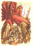  anthro avian beak bird building bulge burning butt destruction digimon feathers fire garudamon helmet macro male markings muscles pose restricted_palette solo unknown_artist warm_colors wings 