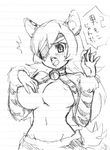  final_fantasy_crystal_chronicles selkie tagme 
