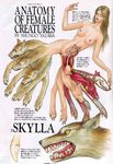  breasts greece greek_mythology monster_girl mythology scylla shungo_yazawa translation_request x-ray 
