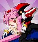  amy_rose animals furry green_eyes red_dress sex shadow_the_hedgehog shuu sonic_team sonic_the_hedgehog 