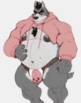  2018 anthro belly blush body_hair bulge butch_(cursedmarked) canid canine canis chest_hair clothing cursedmarked domestic_dog embarrassed eyebrows hairy hand_on_stomach hi_res jockstrap male mammal meme musclegut muscular muscular_male navel nipple_piercing nipples piercing solo twitter_hoodie underwear 