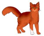  alpha_channel ambiguous_gender domestic_cat felid feline felis feral fur green_eyes hi_res konarika mammal orange_fur simple_background solo squirrelflight_(warriors) transparent_background warriors_(cats) 