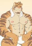  2019 abs anthro biceps bozi clothing felid fur hair hi_res male mammal muscular muscular_male nipples pantherine pecs solo tiger 