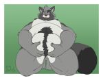  2019 anthro balls belly canid canine duly_noted fur grey_fur hi_res humanoid_hands male mammal moobs nipples overweight overweight_male raccoon_dog simple_background solo tanuki 