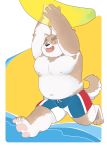  2019 anthro beach belly canid canine canis clothing cute_fangs domestic_dog eyes_closed hi_res humanoid_hands male mammal moobs navel nipples och5 overweight overweight_male seaside solo swimwear water 