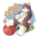  1:1 2017 anthro belly blush bottomwear canid canine canis clothing domestic_dog feet hi_res hoodie humanoid_hands male mammal shorts sitting slightly_chubby solo tanno_maru text 
