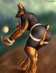  anthro athletic backsack ball balls baseball_(ball) baseball_glove black_fur black_nose brown_fur butt canid canine canis clothing digitigrade dobermann domestic_dog fur gloves hi_res jockstrap male mammal mostly_nude muscular muscular_male pinscher prick_ears satanic_monkey short_tail solo sport underwear 