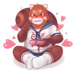  &lt;3 2017 ailurid anthro blush bottomwear clothing holidays male mammal red_panda shirt shorts sitting slightly_chubby solo tanno_maru topwear valentine&#039;s_day 