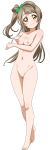  1girl absurdres areolae blush breasts brown_hair cleft_of_venus female full_body highres legs_together light_brown_hair long_hair looking_at_viewer love_live! love_live!_school_idol_project medium_breasts minami_kotori nipples nude nude_filter orange_eyes pussy resized smile solo standing third-party_edit uncensored 