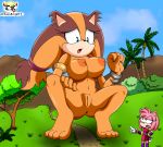  badger breasts female macro mammal mustelid musteline pussy sonic_(series) sonic_boom sticks_the_jungle_badger the_knight 