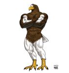  2019 abs accipitrid accipitriform anthro avian beak biceps biped bird bird_feet brown_feathers crossed_arms eagle feathers featureless_crotch male muscular muscular_male nude pecs pose quads scutes signature simple_background solo tail_feathers taku talons white_background white_feathers yellow_beak yellow_eyes 