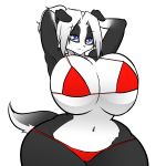  1:1 2019 anthro big_breasts bikini black_fur blue_eyes border_collie breasts canid canine canis cleavage clothed clothing collie digital_media_(artwork) domestic_dog female fur hair hayakain herding_dog huge_breasts looking_at_viewer mammal melinda_pastor_(lildredre) multicolored_fur navel pastoral_dog sheepdog simple_background smile solo standing swimwear thick_thighs two_tone_fur voluptuous white_background white_fur white_hair wide_hips 