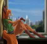  absurd_res canid canine city curtains dreyk-daro fox fur hi_res invalid_tag mammal paws reflection sill sits sky window 